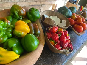 Earthfamily Farms - Image 5