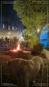 Temazcal Las Hadas - Image 2
