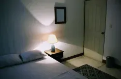 Stray Cat Hostel - Image 2