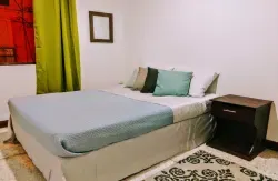 Stray Cat Hostel - Image 3
