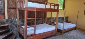 Totoco - Jungle Dorm - mix - Image 2