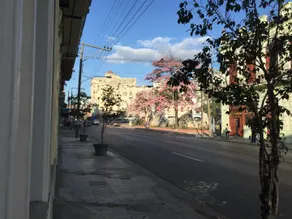 El Cuarto de Tula - Image 5