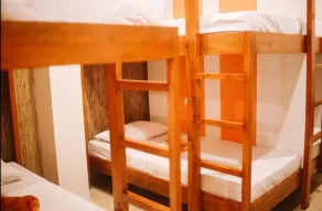 Hostel Avenue - Image 4