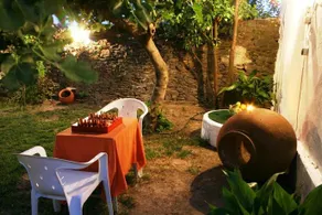 La Casa Jardín - Image 5
