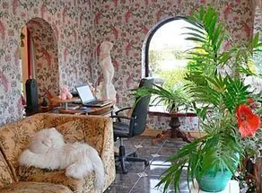 White Villa Bed and Breakfast - Image 4