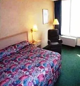Guest Inn - Image 4