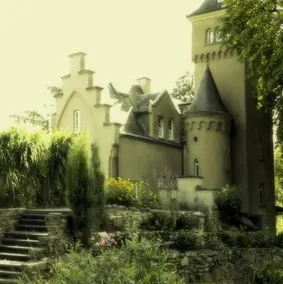 Villa Schaaffhausen - Image 1