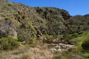 Saunders Gorge Sanctuary - Image 1