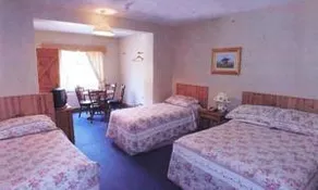 Bunratty Woods Country Inn B&B - Image 3