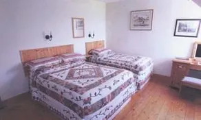 Bunratty Woods Country Inn B&B - Image 5