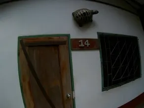 Chid Tawan Guesthouse - Image 3