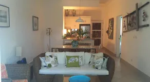 Mi Palmera - Image 5