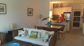 Mi Palmera - Image 2