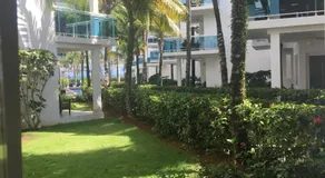 Mi Palmera - Image 4