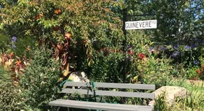 Guinevere - Image 4
