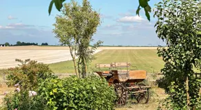 Country Suite Malmo - Image 4