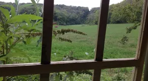 Folly Hide - Image 5