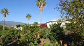 Finca Sueno La Palma - Image 3