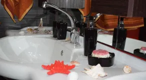 Zoi's House Luxurious Vacation - Image 4