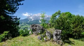 I Soffi: appartamento immerso nella natura - Image 2