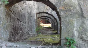 La Real de Piasca - Image 5