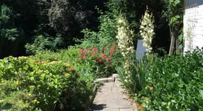 Villa Quies - Image 3