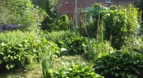 Ethel Maud Place - Image 5
