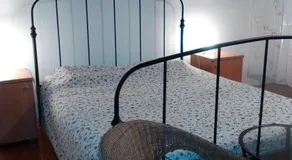 Fulemule - Image 3