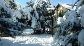 Farmhouse in the mount Parnassos - Image 2