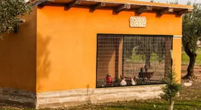 Casa Rural Los Pilones - Image 2