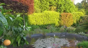 Garden Of Eden - Image 3
