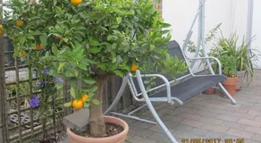Garden Of Eden - Image 4