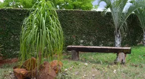 Rancho Palmeira pesca- Recanto das flores Florinia - Image 2