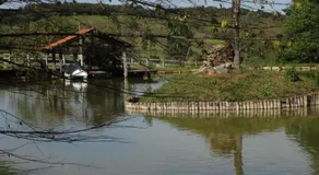 Haras do Alferes - Image 5