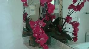 Apartamento confortavel na praia de Pirangi - Image 3
