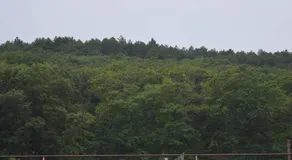 Surami Resort - Image 3