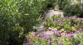 Villa Oleander - Image 5