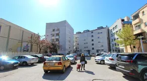Miamore - Image 4