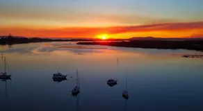 SeaWest - Pet Friendly - Image 2