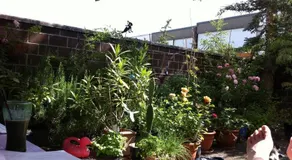 Rosie's B&B Homestay - Image 3