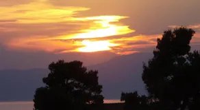 Sunny island - Image 4