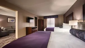 Best Western PLUS Dallas Hotel & Conference Center - Image 3