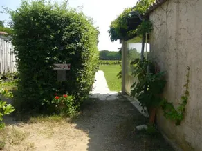 Les Pins Pitchouns - Image 2