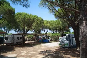 Les Pins Pitchouns - Image 3