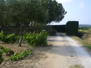 Les Pins Pitchouns - Image 4