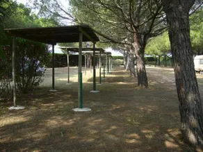 Les Pins Pitchouns - Image 5