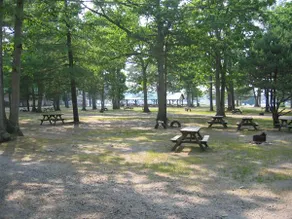 Buena Vista Campground - Image 3
