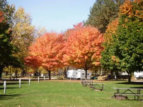 Roundup Lake RV Resort - Image 4