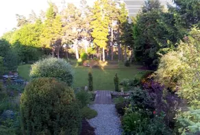 The Pines House - Image 2