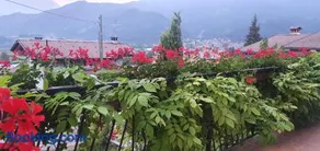 Casa Bellavista - Image 2